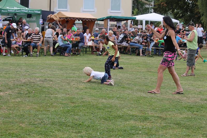 Benefiční festival na podporu dlouhodobě nemocných pacientů benešovské nemocnice Open door hospital fest. 