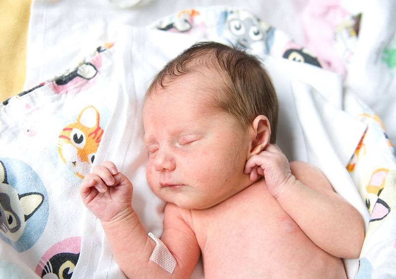 Eliška Vrbová z Lysé nad Labem se narodila v nymburské porodnici 16. července 2021 v 11.31 hodin s váhou 2430 g a mírou 45 cm. Prvorozenou holčičku očekávala maminka Lucie a tatínek Tomáš.