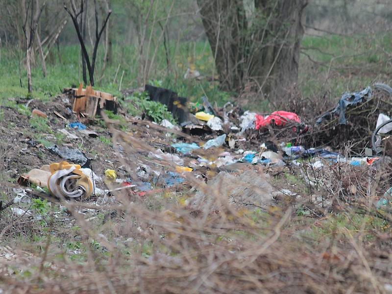 Benešovské studentky a studenti uklízeli nepořádek na okrajích města.