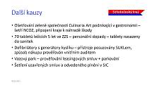 Z online tiskové konference středočeských radních k bilancování prvních 100 dnů vlády (přesněji: 114 dnů) nové koalice STAN, ODS, Pirátů a Spojenců.