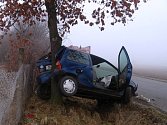 Dopravní nehoda u Netvořic skončila netradičním způsobem. Osobní automobil zaparkoval na stromě