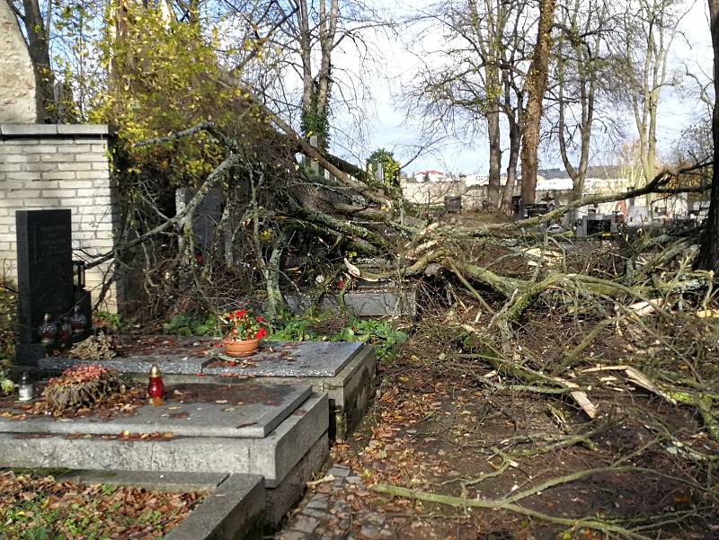 Polámané stromy na benešovském hřbitově a v ulici U Vodárny.