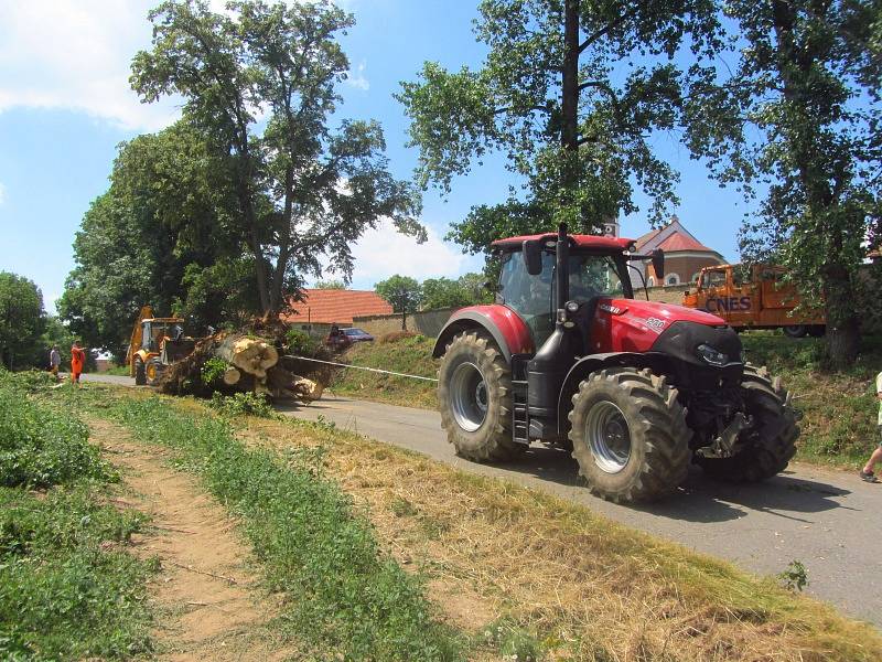 Následky bouřky, která Borovnici zasáhla v pondělí 1. července 2019.