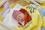 Natálie Hrdá se narodila v benešovské porodnici 3. listopadu 2021 ve 3:05 hodin s váhou 3450 g. V Dalovech u Divišova se z ní radují rodiče Klára a Martin a bráškové Adam (8) a Lukáš (5).