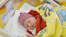 Natálie Hrdá se narodila v benešovské porodnici 3. listopadu 2021 ve 3:05 hodin s váhou 3450 g. V Dalovech u Divišova se z ní radují rodiče Klára a Martin a bráškové Adam (8) a Lukáš (5).