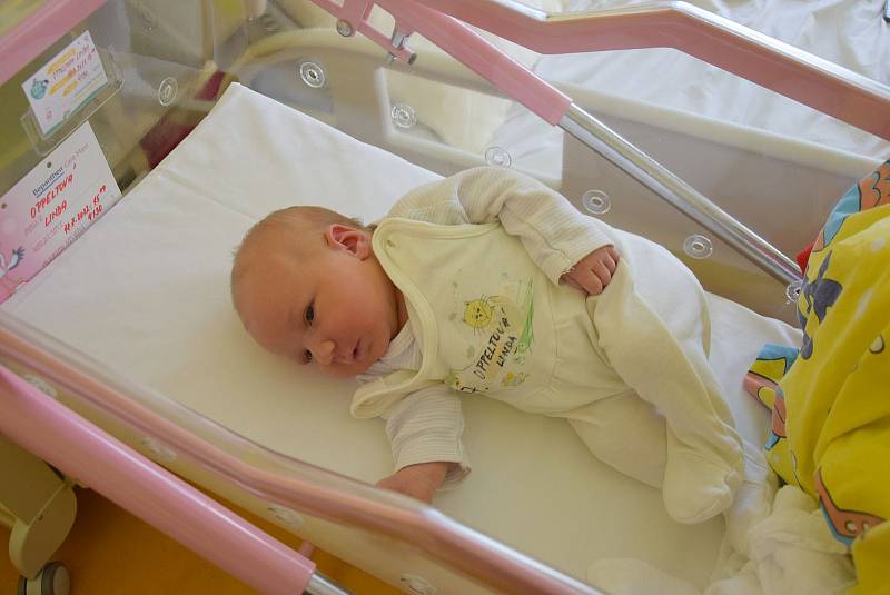 Linda Oppeltová se manželům Markétě a Jakubovi narodila v benešovské nemocnici 18. července 2022 ve 15.09 hodin, vážila 4130 gramů. Doma ve Svojeticích na ni čekaly sestry Nela (5) a Aneta (3).