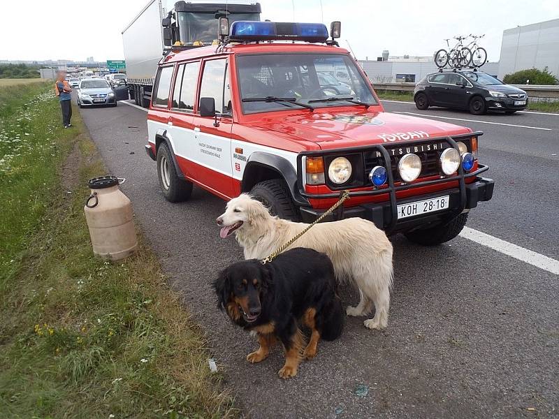 Po dobu odstraňování nehody dálnice D1 ve směru na Brno stála.