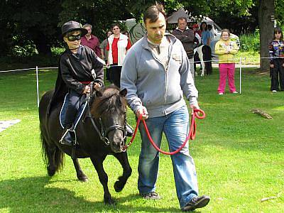 První výstava poníků, kterou připravil Český svaz chovatelů mini horses se konala v bezprostřední blízkosti konopišťského parkoviště.