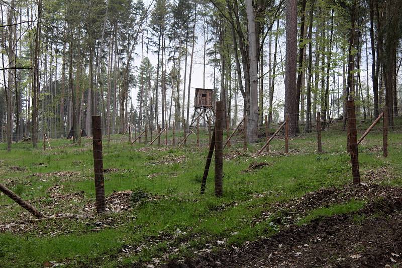 Fotokvíz: poznáte obec na Benešovsku?