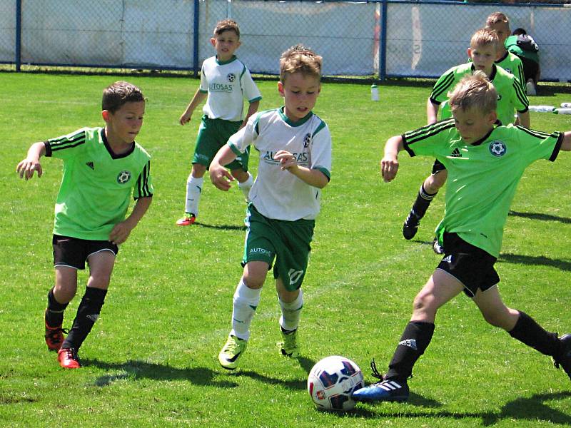 Ondrášovka cup U8 v Benešově.