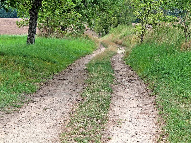 Fotokvíz: Poznáte obec na Benešovsku?