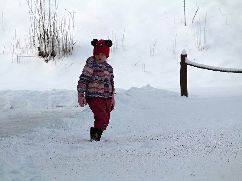Benešovsko v pondělí 8. února 2021 po vydatném nočním sněžení.