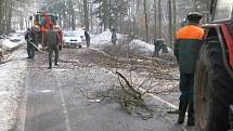 Kácení stromů v místě budoucí stezky pro chodce a cyklisty mezi Týncem nad Sázavou a Bukovany