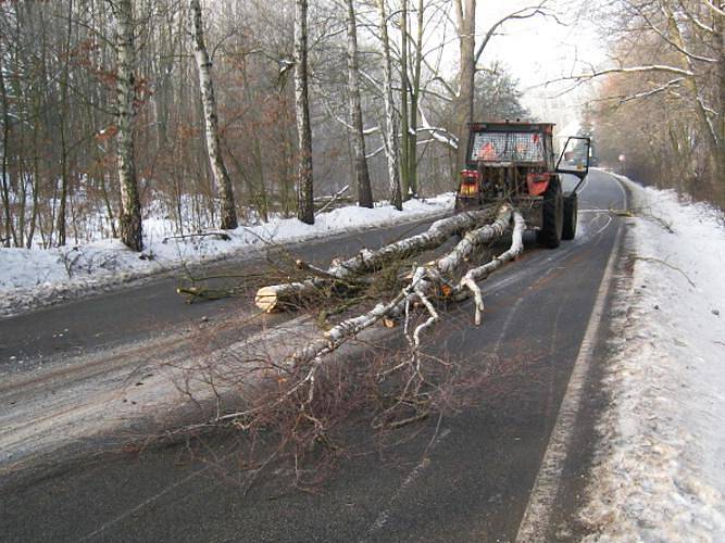 Kácení stromů v místě budoucí stezky pro chodce a cyklisty mezi Týncem nad Sázavou a Bukovany