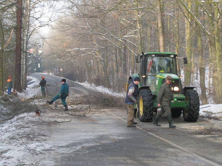 Kácení stromů v místě budoucí stezky pro chodce a cyklisty mezi Týncem nad Sázavou a Bukovany