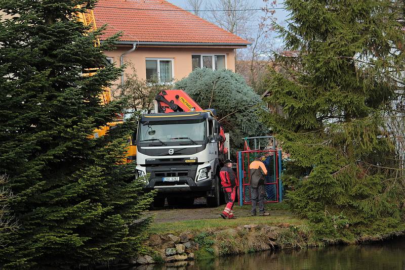 Dostat vzrostlý strom na korbu nákladního auta, nebylo tentokrát kvůli členitosti zahrady a nedostatku místa pro těžkou techniku, vůbec jednoduché.