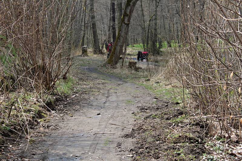 Rybaření u Konopišťského potoka nedaleko Benešova.