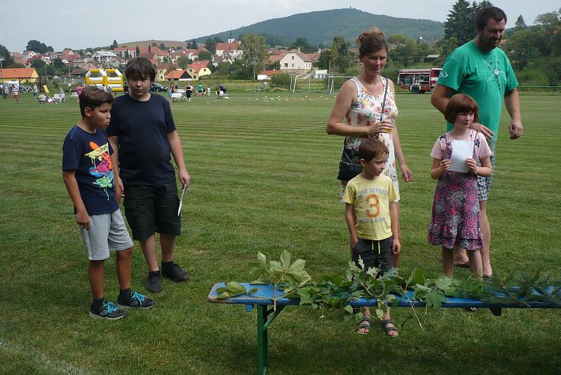 I střílení ze vzduchovek či skákáni v pytli si mohli užít také dospělí.