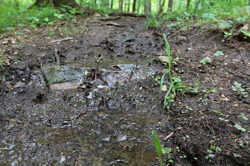 Udržet vodu v městské krajině pomůže v Týnci nad Sázavou výstavba tůněk na strouze mezi garážemi a ulicí K Zeleným vratům.