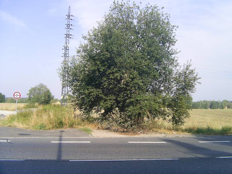 Geneze autobusové zastávky nedaleko benešovské Pavlíkovy ulice.