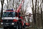 Zásah hasičů na silnici mezi Benešovem a Konopištěm, kde strom spadl na autobus.