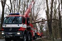 Zásah hasičů na silnici mezi Benešovem a Konopištěm, kde strom spadl na autobus.