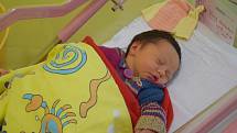 Rozálie Procházková se Andree a Pavlovi narodila 8. října 2022 v 17.18 hodin, vážila 3410 gramů. Bydlištěm rodiny jsou Jinošice.
