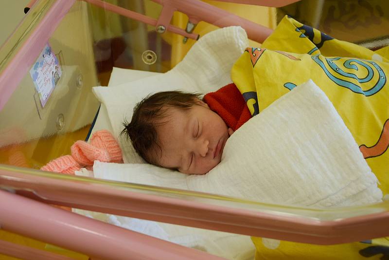 Natálie Nováčková se Michale Hefnerové a Tomáši Nováčkovi narodila v benešovské nemocnici 22. února 2022 v 1.52 hodin, vážila 3270 gramů. Rodina bydlí ve Všedobrovicích (Štiřín) a Natálie má sestry Sáru (21) a Sofii (10).