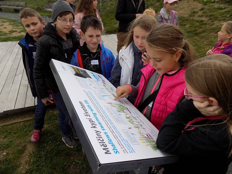 Život pro kuřičku hadcovou je projekt, který má za cíl zvýšit velikost populace této rostliny.