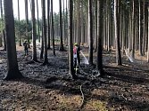 Požár lesa u Neveklova. Foto: HZS Středočeského kraje