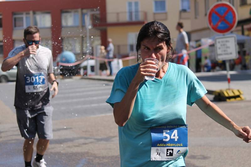 vyvrcholení Benešovského běžeckého festivalu, Benešovská desítka.