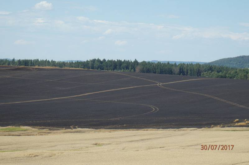 Požár pole u Bystřice.