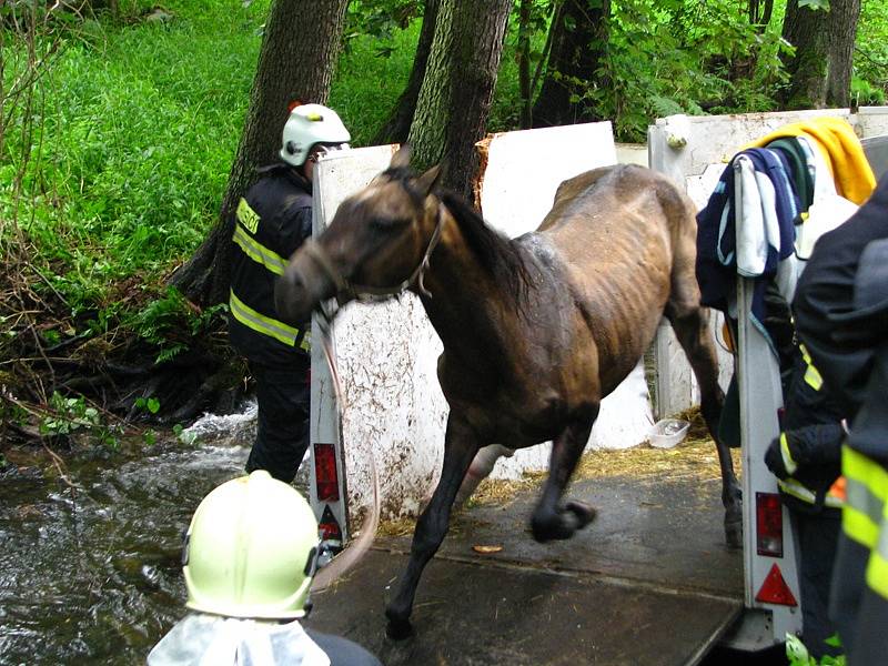 Přívěsný vozík s kobylou se v úterý po 16. hodině před Bučovicemi utrhl i se závěsem od auta, sjel do potoku Mastník, kde narazil do stromu a převrátil se.