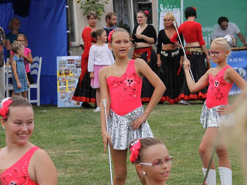 Benefiční festival na podporu dlouhodobě nemocných pacientů benešovské nemocnice Open door hospital fest. 