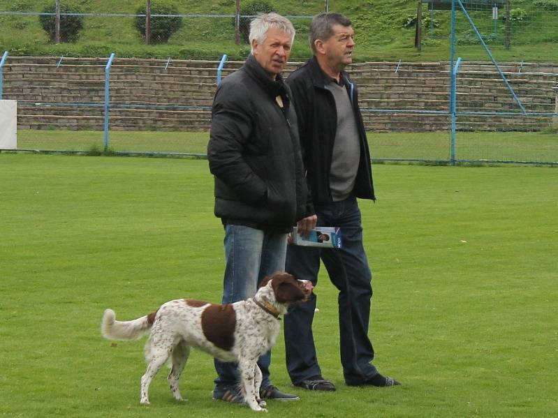 Nábor dětí na fotbal Benešově ve spolupráci s FAČR.