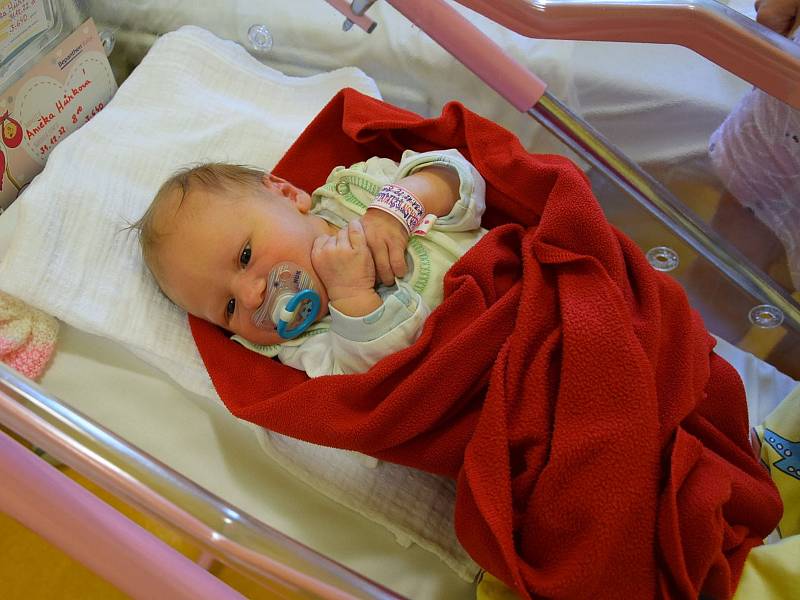 Anna Hůrková se manželům Pavle a Alešovi narodila v benešovské nemocnici 31. prosince 2022 v 8.10 hodin, vážila 3640 gramů. Bydlištěm rodiny jsou Černíkovice.