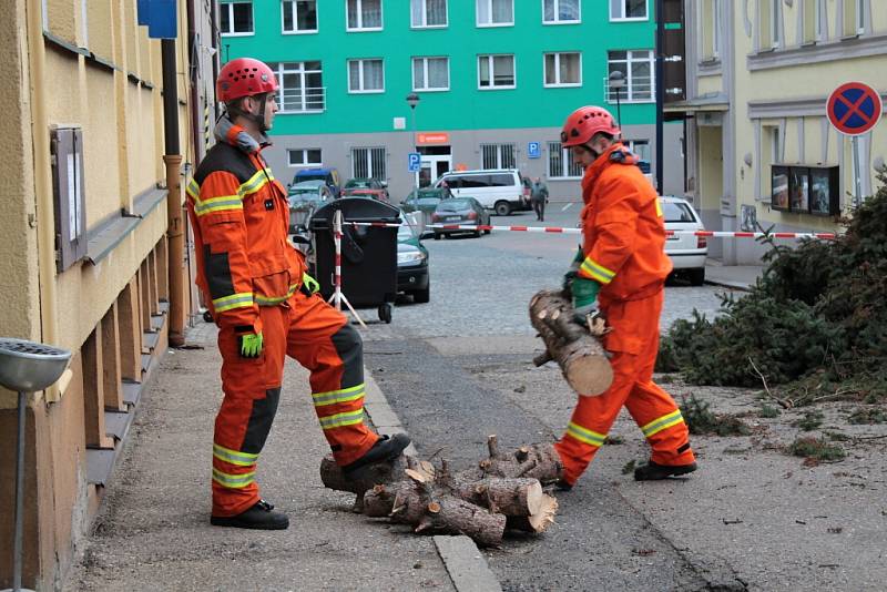 Kácení smrků v benešovské Poštovní ulici. 