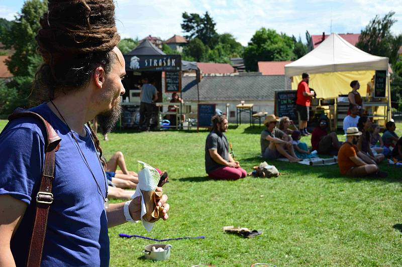 Z reggae festivalu na louňovickém zámku.