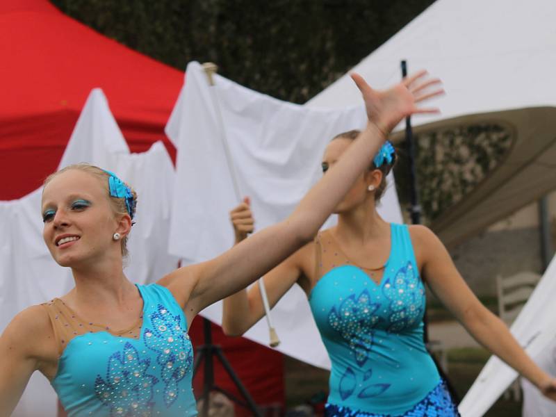 Benefiční festival na podporu dlouhodobě nemocných pacientů benešovské nemocnice Open door hospital fest. 