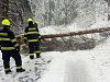 Sražený chlapec i deset stromů na silnici na Třebíčsku, počasí dál trápí řidiče