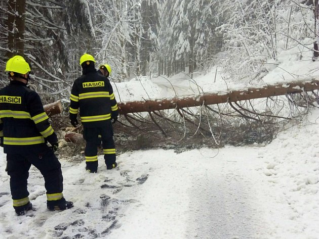 Na Žďársku má sněžit: meteorolog varuje před pády stromů