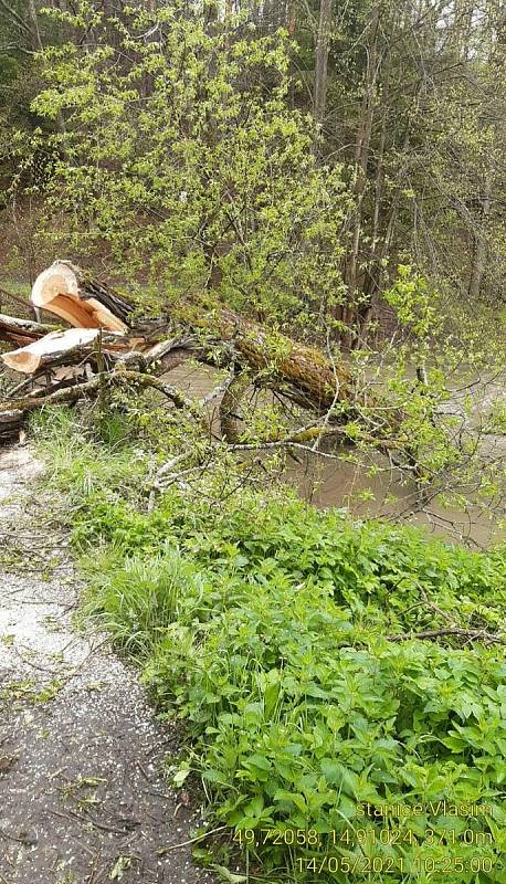 Strom padlý na lávku (Benešovsko) v polovině května 2021.