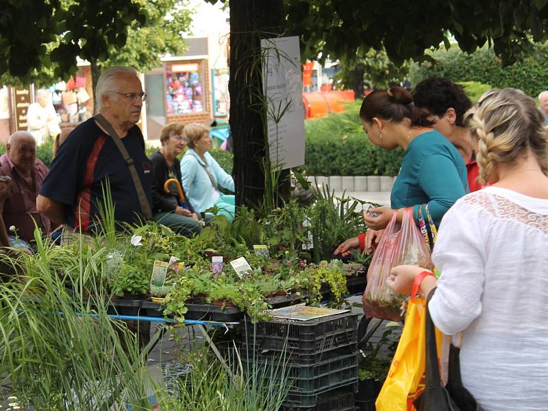 Benešovské posvícení zahájil farmářský trh na náměstí.