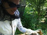 KAROLÍNA JOSKOVÁ zpracovává i včelí vosk a med díky šesti úlům. V Experimentální zahradě má své dva úly i členka sdružení.