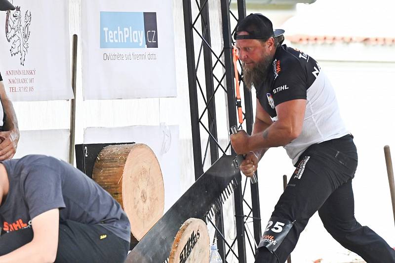 Z dřevorubecké soutěže Stihl Timbersports v zámeckém parku ve Vlašimi.