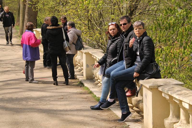 Májové slavnosti ve Vlašimi navštívila se svým vystoupením i zpěvačka Helena Vondráčková či zpěvák Janek Ledecký. Město Vlašim nabídlo na prvního máje příchozím doopravdy různorodý a bohatý program.