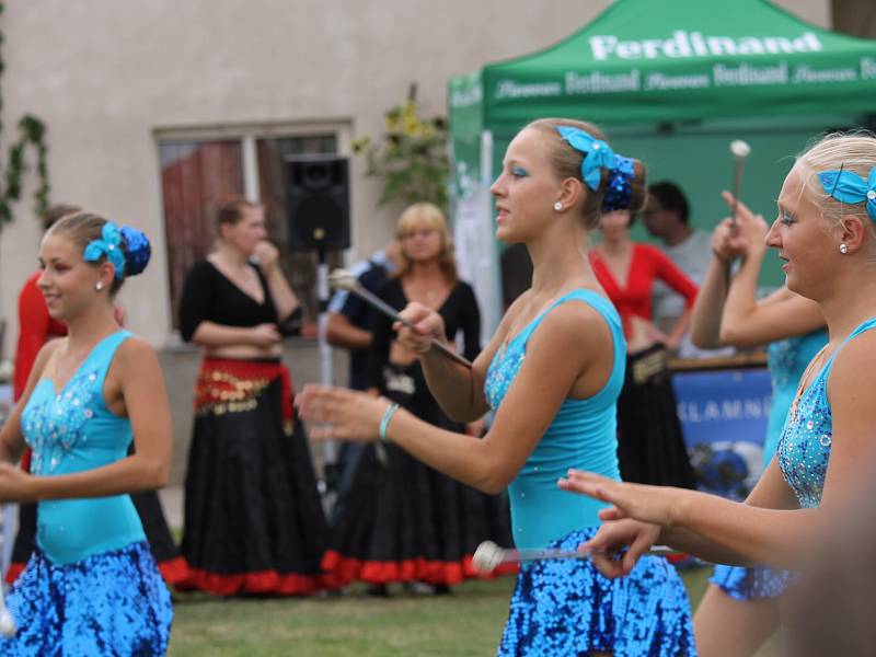 Benefiční festival na podporu dlouhodobě nemocných pacientů benešovské nemocnice Open door hospital fest. 