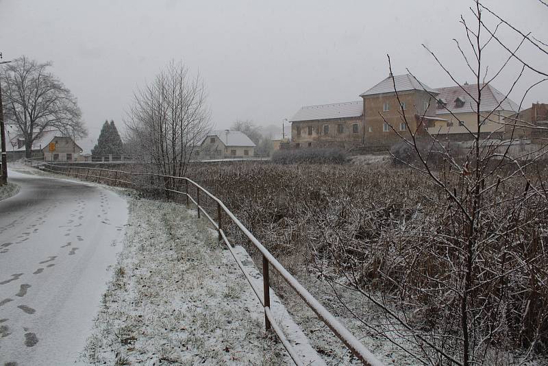 Pivovarský rybník v Louňovicích pod Blaníkem v lednu 2021.