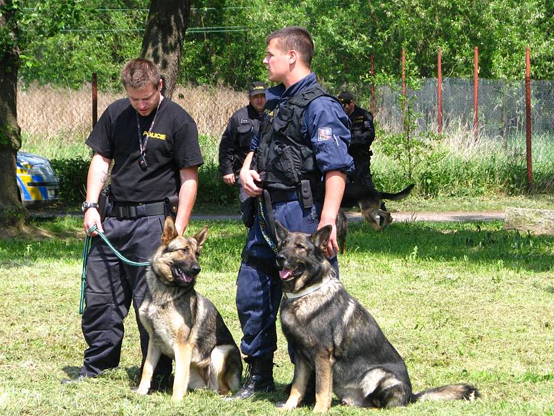 Policejní psovodi předvedli školákům čtyřnohé parťáky.