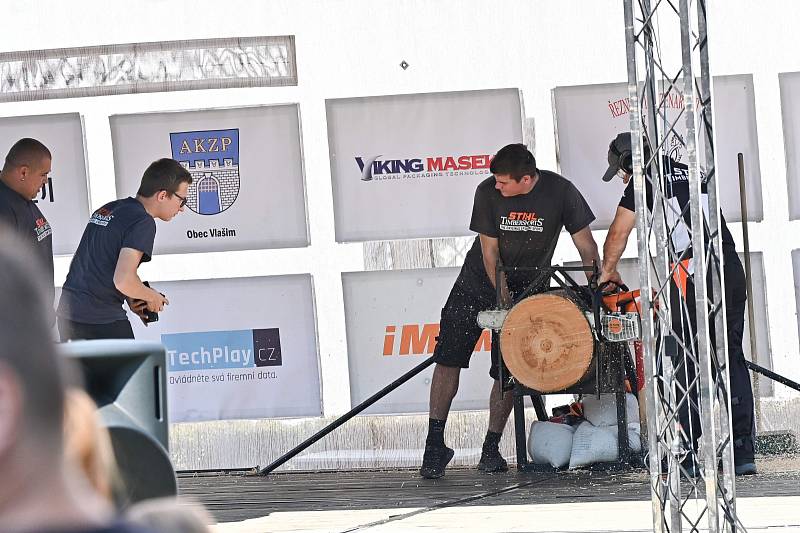 Z dřevorubecké soutěže Stihl Timbersports v zámeckém parku ve Vlašimi.